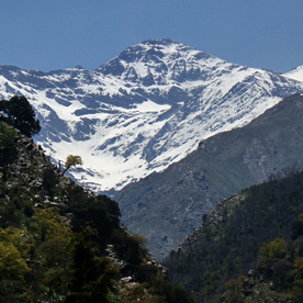 alema